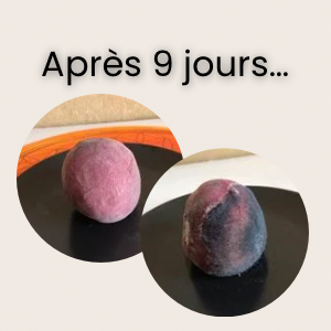 expérience avec la fleur de vie